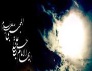 امام مجتبی
