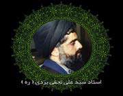 سید علی نجفی