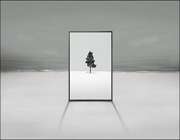 طرح بیسابقه تلویزیون های مستطیل شکل عمودی
