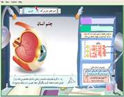 چشم انسان