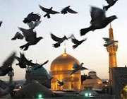 رازی بین من و کبوتر و آقا