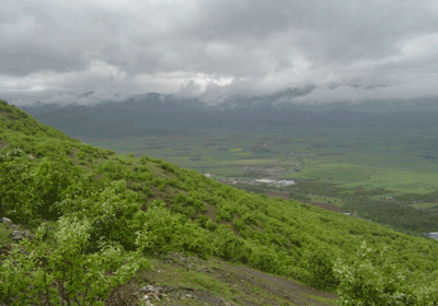 کردستان