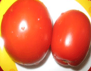 ساندویچ همبرگر