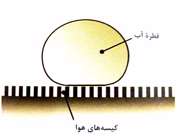 نیلوفر آبی؛ الهام بخش پاکیزگی ساختمان