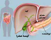 پانکراس