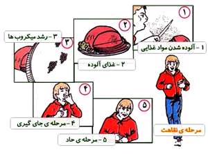آدمی و میكرب ها