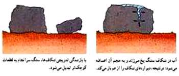 فرایندهای بیرونی و درونی تشکیل خواب