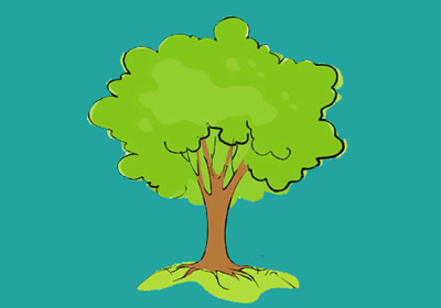 درخت