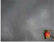 درباره مثلها درباره مثلها