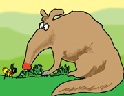 مورچه خوار مورچه خوار