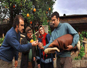 پایتخت