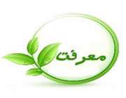 معرفت