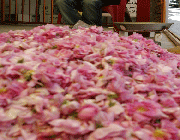 کاشان