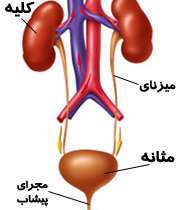 دستگاه ادراری