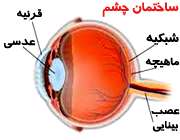 ساختمان چشم