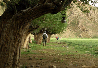 دشت گرچال
