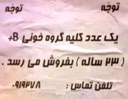 کلیه