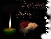 شیری تنها در میان روبهان شیری تنها در میان روبهان