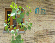 خانه سینما