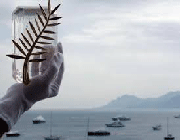 جشنواره کن