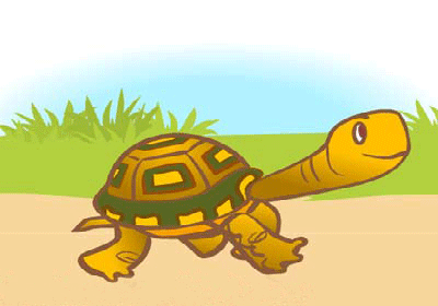 لاک پشت