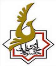 درخشش دانش آموزان خواف استان خراسان رضوی در جشنواره نوجوان خوارزمی