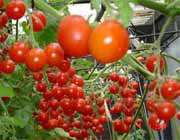 دستاوردهای پژوهشی دبیرستان صالح