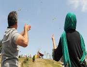 گردش با خانواده
