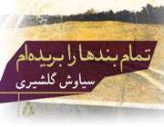 تمام بندها را بریدهام