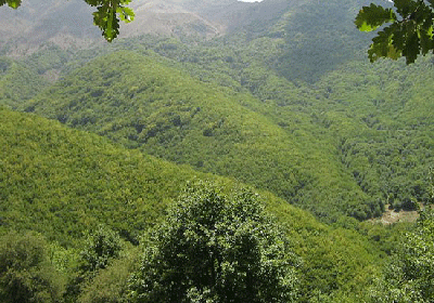 کلیبر