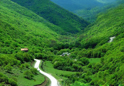 کلیبر