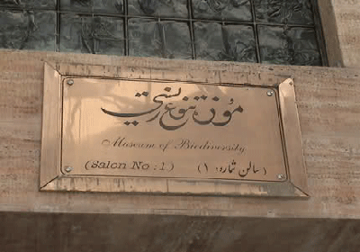 موزه تاریخ طبیعی
