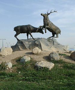 موزه تاریخ طبیعی