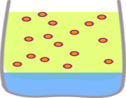 رنگ هایی از هویج