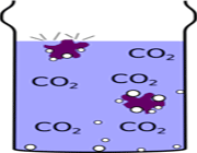 جنبش کشمش ها