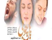 پل چوبی