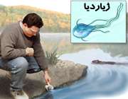 عفونت ژیاردیا