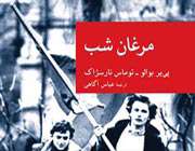 رمان «مرغان شب»