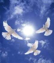 شهید غلامرضا نظری