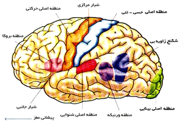 تشخیص نارساخوانی
