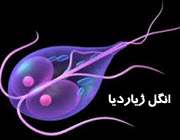 عفونت ژیاردیا