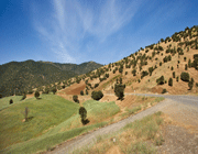 کردستان