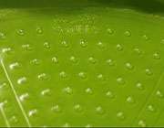 تازههایی از دنیای دانش و فناوری