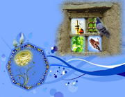 امام رضا