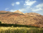 تنگه واشی