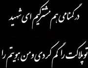درد و دل با شهدا