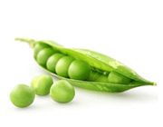غده ی هیپوفیز