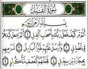 فیل