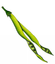 میوه های حقیقی