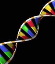 dna